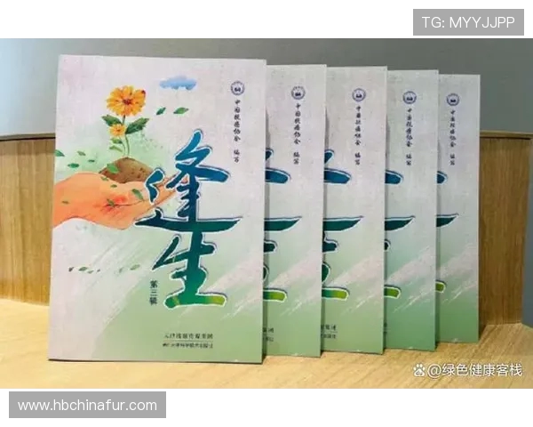 李强谈攀岩之路:从初学者到顶尖高手的心路历程与成长故事 李强谈攀岩之路:从初学者到顶尖高手的心路历程与成长故事