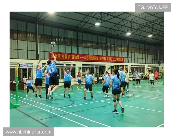 深度对话：探寻陈秀英排球人生背后的故事与奋斗历程