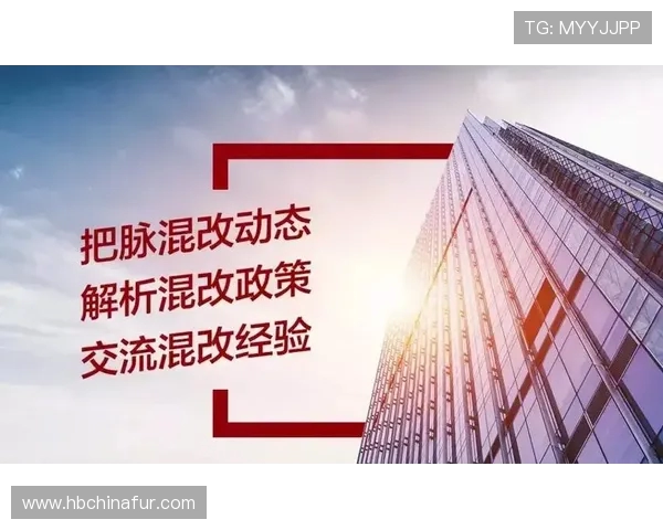 独家解析：WE团队协作模式的优势与不足全面对比分析