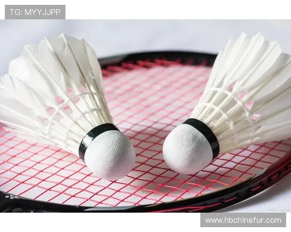 羽毛球新手必看：轻松掌握团队协作技巧与实战经验分享