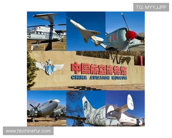 史鸿飞：探索科技前沿与人文关怀的交汇点与未来发展之路