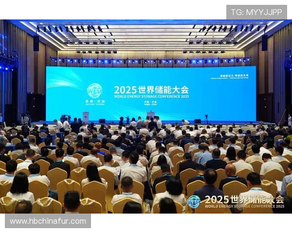 楚阿梅尼的崛起与挑战：探索他在足球世界中的影响力与未来潜力