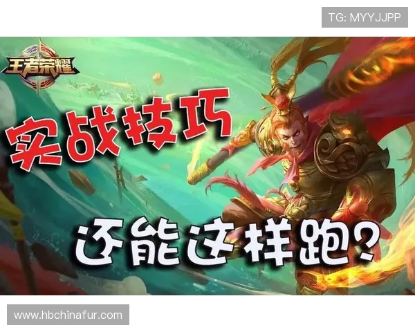 科学王者荣耀状态训练方法探究与实战应用技巧分享 科学王者荣耀状态训练方法探究与实战应用技巧分享