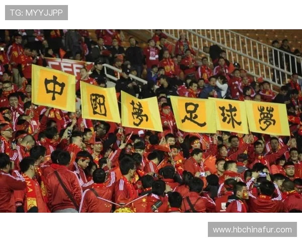 南京足球队在世界杯预选赛中的经验与表现分析与点评