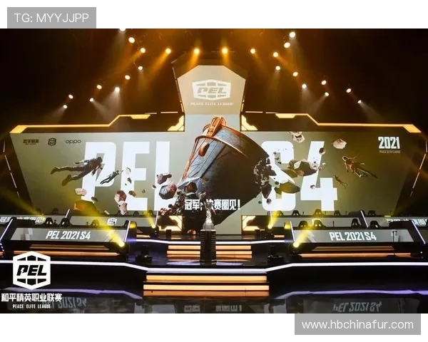 和平精英纪实：WE战队如何在变革中重塑自我与未来