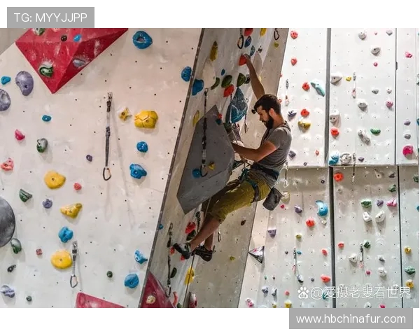 成都攀岩队与上海攀岩队赛后复盘分析个人能力的对比与启示