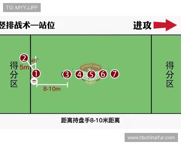 杭州飞盘队灵活性分析与战术创新的深度探讨