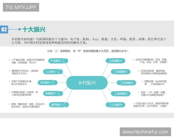 深入分析成都攀岩队的运营策略与发展模式探秘
